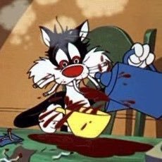 nostalisa's profile picture. profesjonell