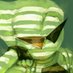 SirPseudonymPhoapish (@phoapishsir) Twitter profile photo SirPseudonymPhoapish (@phoapishsir) Twitter profile photo