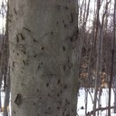 Adam Cate - @adrock8989 - Twitter