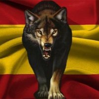Javier (@javier213526320) 's Twitter Profile