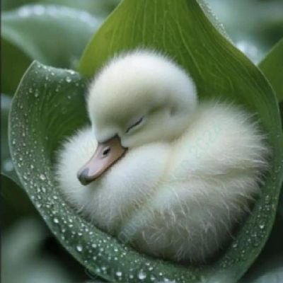 chakathodi10011's profile picture. happy