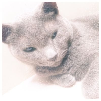帽子は売ってない帽子屋🐇🕚🎩
気まぐれにPost & ♡して気まぐれにポス消しする人。帽子屋の1/3は音楽🎼