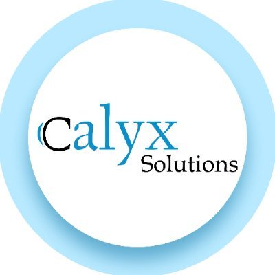 Calyx_Solutions's profile picture. UK's leading FinTech solution provider. Customised money transfer apps and CS Remit Suite for MSBs