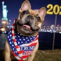 Preston’s Mom (@ra18kt) 's Twitter Profile Photo Preston’s Mom (@ra18kt) 's Twitter Profile Photo