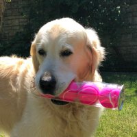 Finn ๐ (@finnfifth) 's Twitter Profile