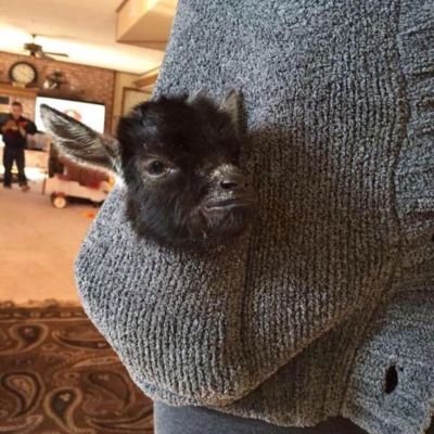 Dend28092009's profile picture. A Non-binary goat
Pansexual
(・∀・)