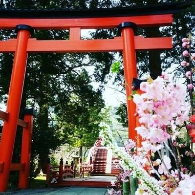 花さんのプロフィール画像