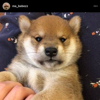 liu1367155's profile picture. 