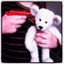 Steve Williams (@stevew0601) Twitter profile photo Steve Williams (@stevew0601) Twitter profile photo
