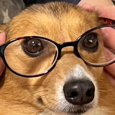 黒土さんのプロフィール画像