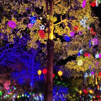 WayneLau07's profile picture. 