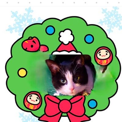 onespaniel1's profile picture. Retired Educator - Blue dot in red state!