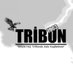 Tribün 1903 (@tribun_1903) Twitter profile photo Tribün 1903 (@tribun_1903) Twitter profile photo