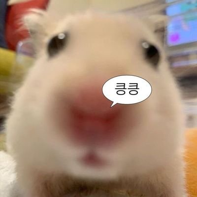 ggulggulthy's profile picture. #꿀소스쉐킷쉐킷
