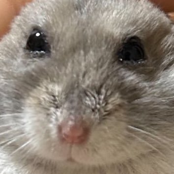 夕ヶｼ 低浮上さんのプロフィール画像