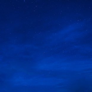 Paume208's profile picture. 