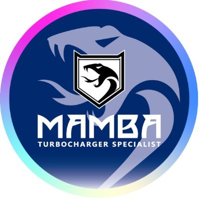 MAMBATEK_TURBO's profile picture. MAMBATEK (EN) https://t.co/tp2VC7rTXS
A Global leader in turbocharger auto parts.
Share some MAMBATEK activities, discount in USA.