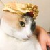 AQUARIUS (@mine_aquarius) Twitter profile photo AQUARIUS (@mine_aquarius) Twitter profile photo