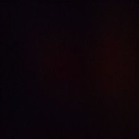 L (@l_schmiester) 's Twitter Profile