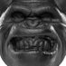D (@ddougieh) Twitter profile photo D (@ddougieh) Twitter profile photo