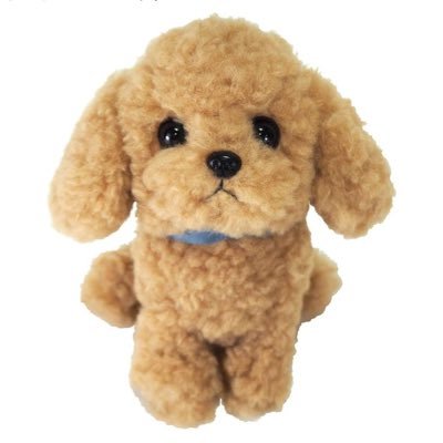 知恵袋さんのプロフィール画像
