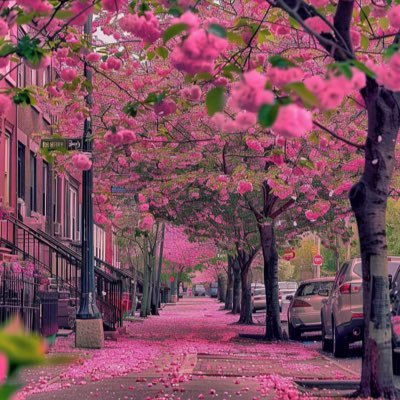 Escribano_AM's profile picture. #communication #marketing #digital #RSE #diversité #change #management I Curious about everything I Tweets are my own :) #Bethechange