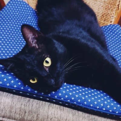 ZuiK2B6gawbxgj8's profile picture. 趣味と独り言用