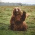 Mauricio. (@stochasticbear) Twitter profile photo Mauricio. (@stochasticbear) Twitter profile photo