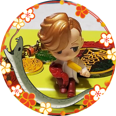 すももさん専用 楽天市場】【11/4 20:00〜11/11 1:59 エントリーでP5倍】チューハイ