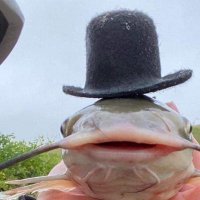 Gary (@tanbestbro118) 's Twitter Profile Photo Gary (@tanbestbro118) 's Twitter Profile Photo