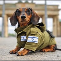 Dettahållerinte (@bluffobag) 's Twitter Profile Photo