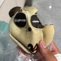 daff dfaf (@daffdfaf73495) 's Twitter Profile
