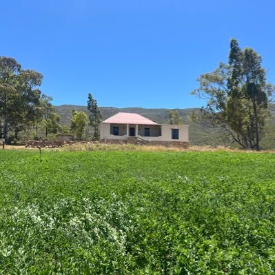 Frik_Odendaal's profile picture. Farmer. Trotse Afrikaner. Een Dracht Maakt Macht.