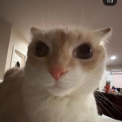 baptiste 2 ème du nom, mon rêve faire secret story