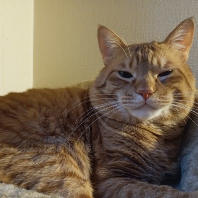 JUST_D_HERO's profile picture. 