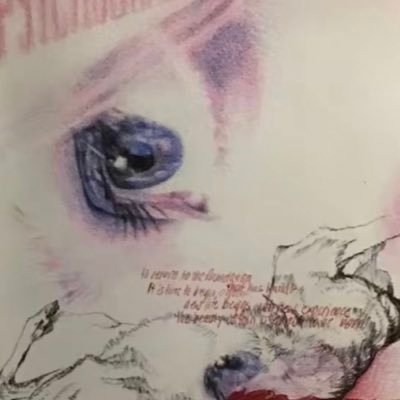 totorchid's profile picture. eat me