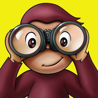 Content creator... but also a professional Videographer & video editor!