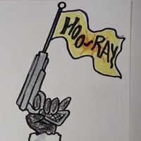Celebration Guns (@celebrationgunz) 's Twitter Profile