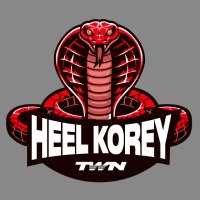 HeelKorey (Part of The Wrestling Network) (@heelkorey_2k) 's Twitter Profile