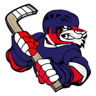 Official Twitter Page of the U15 Valley Wildcats. Proud members of the NS U15 Major Hockey League.