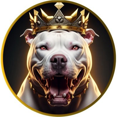 KingRaiza8's profile picture. @infin8trac1