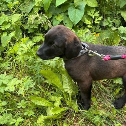 YouFrancky's profile picture. le pire ambulancier que tu puisses voir arriver.