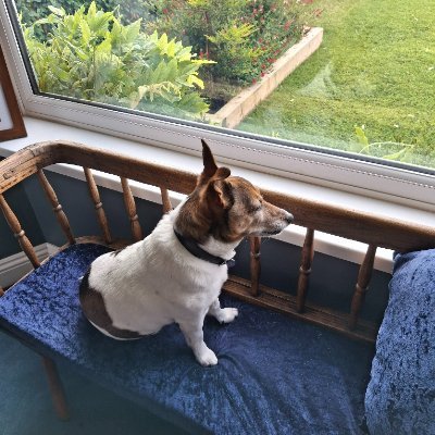 From North Yorkshire living in the Lincolnshire Wolds. Love taking photographs, all cats, my Jack Russell, the countryside, walking, running. yoga and wine ❤️