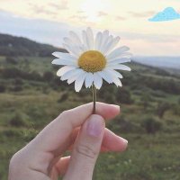 اعظم ساردوئی نسب (@nsb_a63975) 's Twitter Profile