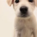 angel huang - @onlyjesus1025 - Twitter