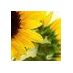 AltBio-Fuel (@altbiofuel) Twitter profile photo AltBio-Fuel (@altbiofuel) Twitter profile photo
