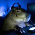 Cap!vara da Ab!n🌿 (@ab1ncapybara) Twitter profile photo Cap!vara da Ab!n🌿 (@ab1ncapybara) Twitter profile photo