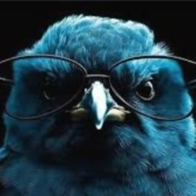 piyush233554's profile picture. 