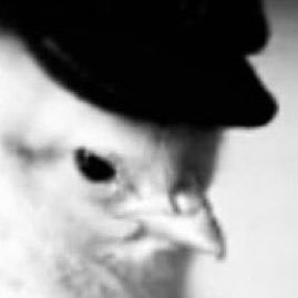 dorrspan's profile picture. 