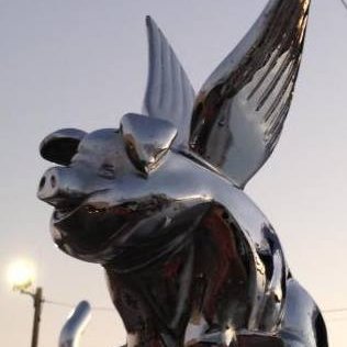 billhudge's profile picture. You have to get over this sometime - why not now?